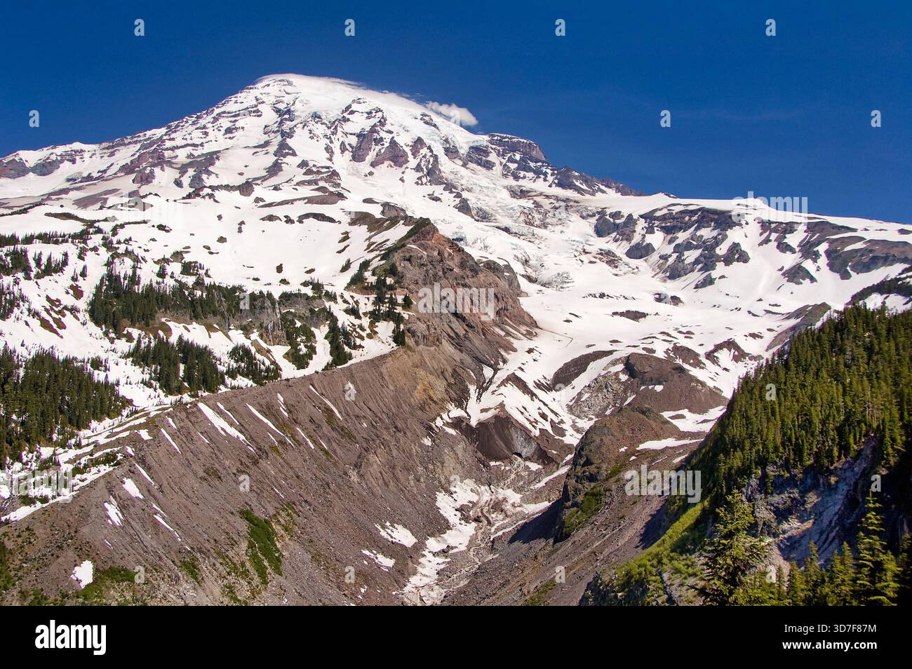 Felsige Schlucht, die an einem klaren Mittsommertag im Bundesstaat Washington in Richtung Mount Rainier führt, mit hellblauem Himmel. Stockfoto
