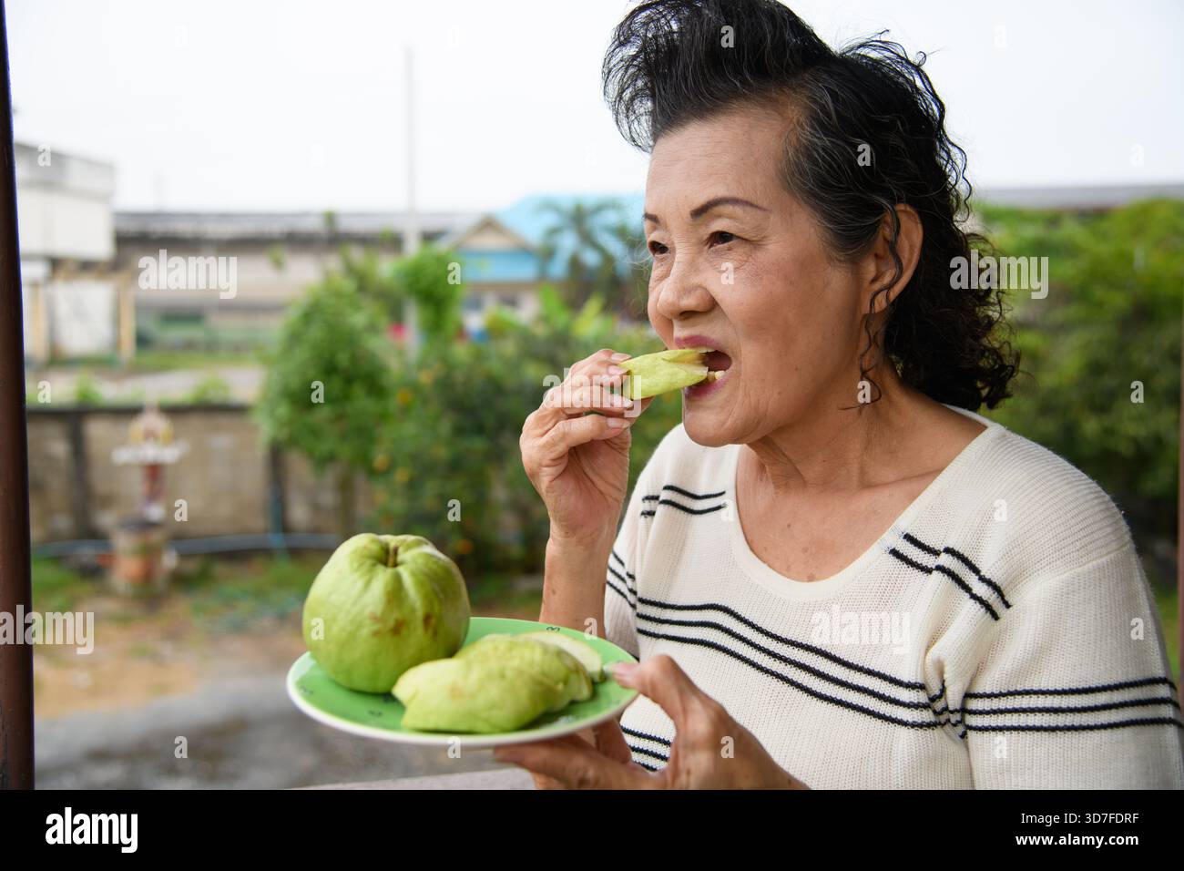 Eine alte Frau isst Guavas vor einem Gartenhintergrund. Stockfoto