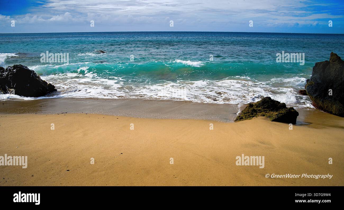 Wilde Ziege La Perouse Bay Stockfoto