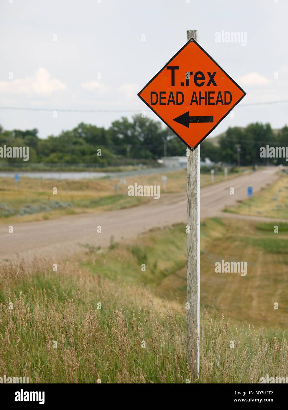 T. rex DEAD AHEAD Schild für Abzweigung zum Dinosaurier Discovery Center in Eastend, Saskatchewan Stockfoto