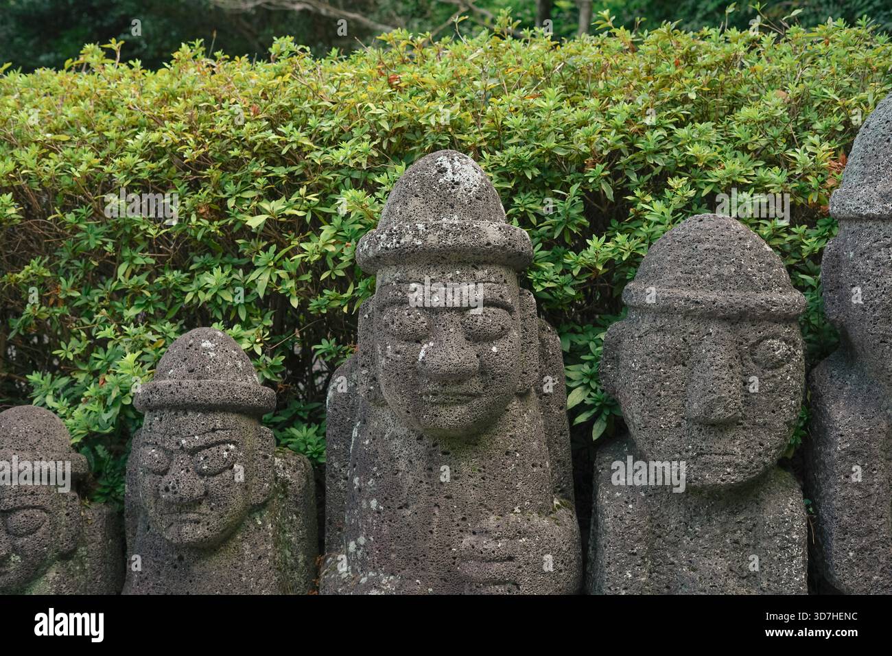 DOL Hareubang Steinstatuen, das Symbol der Insel Jeju, Korea, stehen Seite an Seite mit grünen Büschen Stockfoto