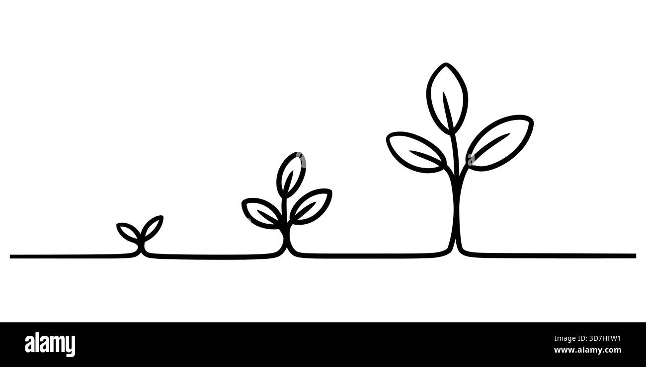 Pflanzenwachstumsstadien Minimal Line Art. Evolution, Fortschrittskonzept. Stock Vektor