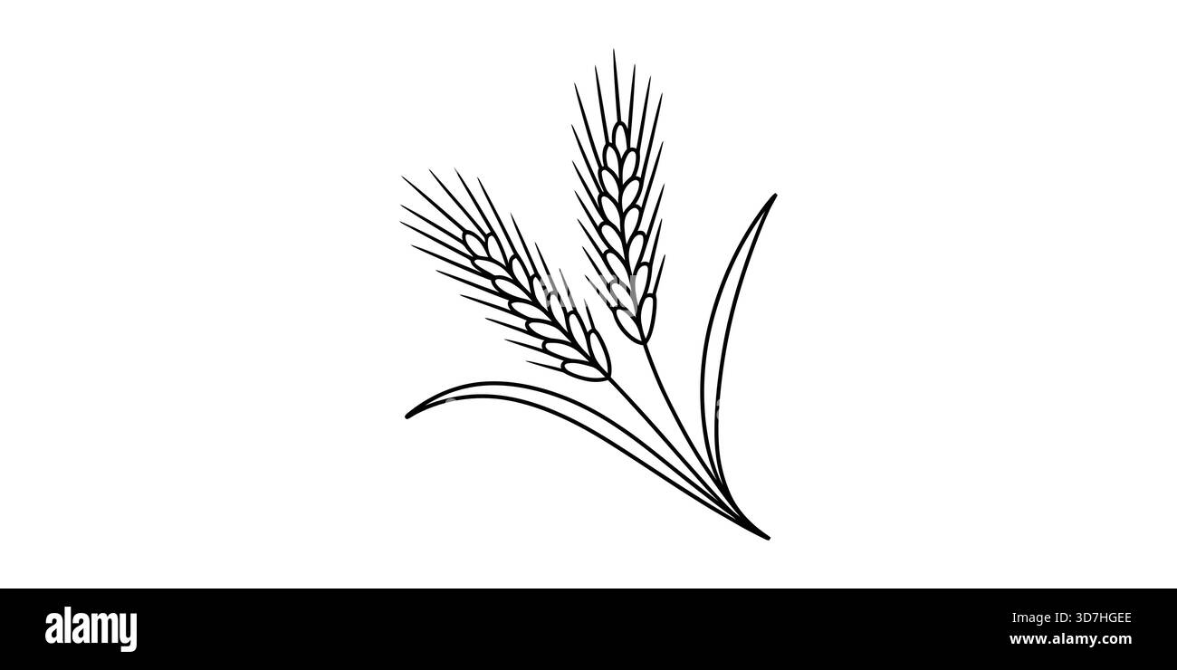 Stilisierte lineare Weizenstiele mit Blättern, Landwirtschaftsikone Stock Vektor