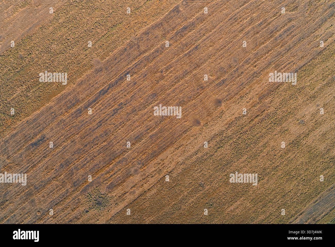 Luftabstrakte Nahaufnahme einer Stoppelfeldtextur. Diagonale parallele Linien von Bodenbearbeitungsbahnen erzeugen ein starkes geometrisches Erdmuster. Das Bild dient als minimalistisches Hintergrund- oder Designelement. Stockfoto