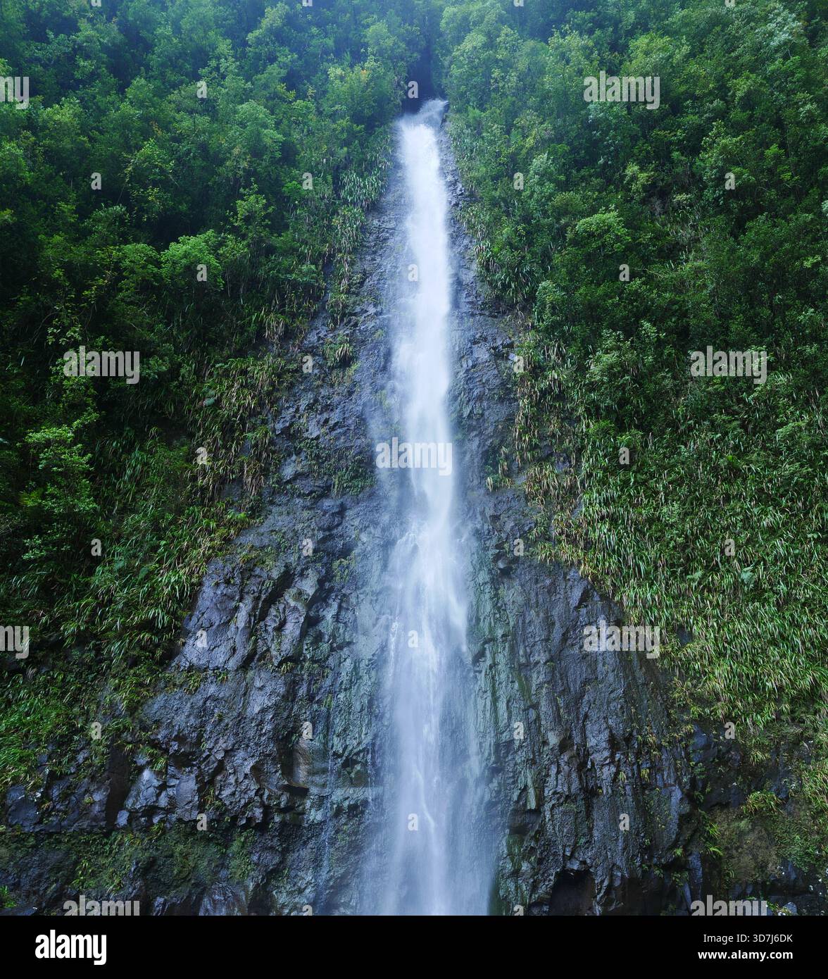 Hintergrund Wasserfall und grüne Natur Stockfoto