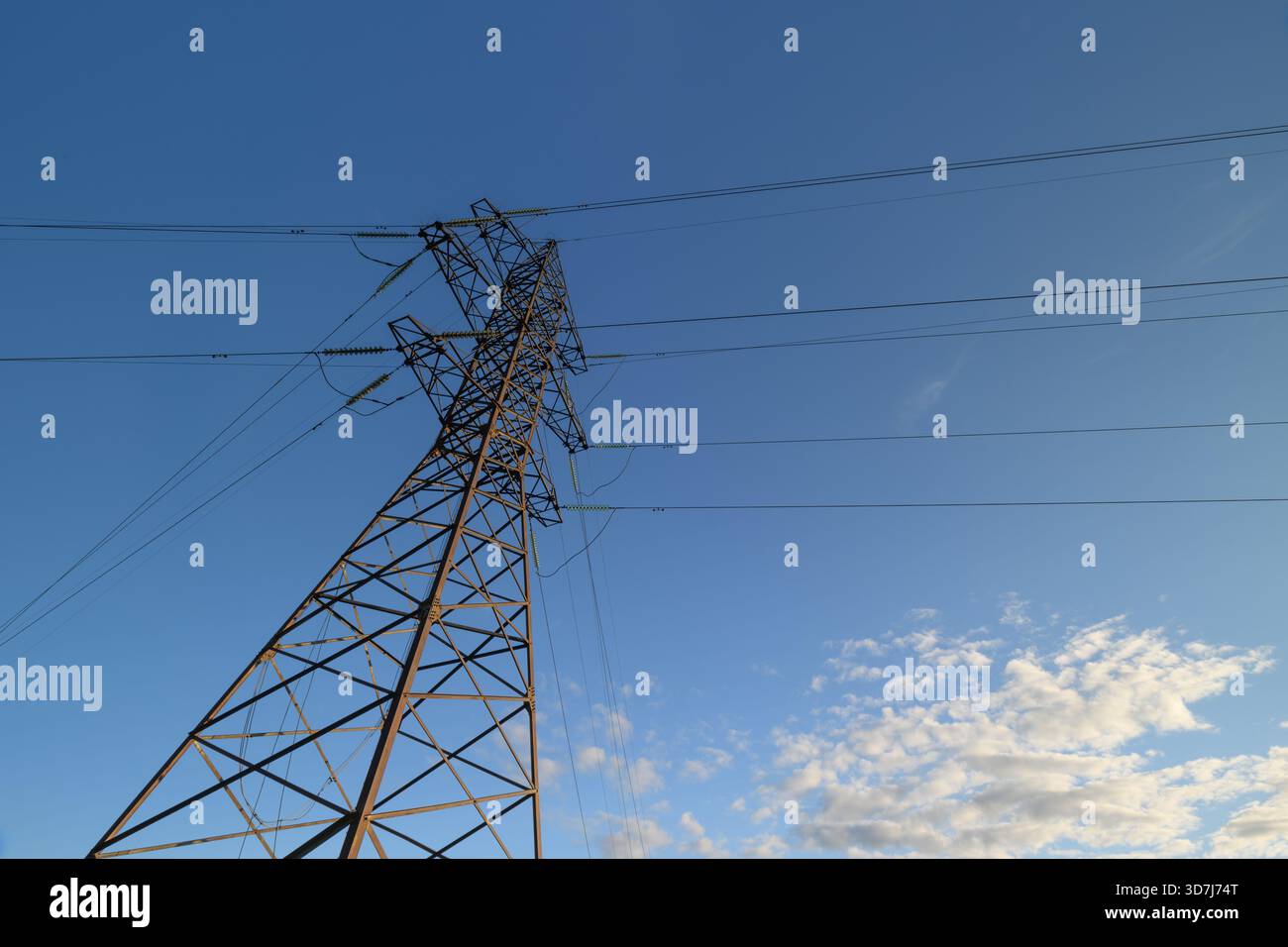 Ein lebendiges Bild von Stromleitungen, die sich vor einem hellblauen Himmel abzeichnen, mit hoch aufragenden Vögeln, die elegant darüber fliegen Stockfoto