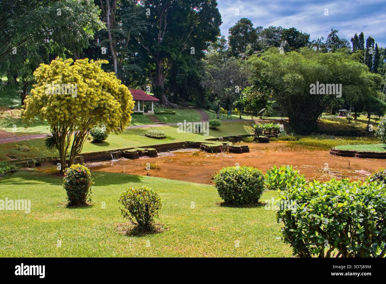 Royal Botanic Gardens, Peradeniya, Kandy, Sri Lanka Stockfoto
