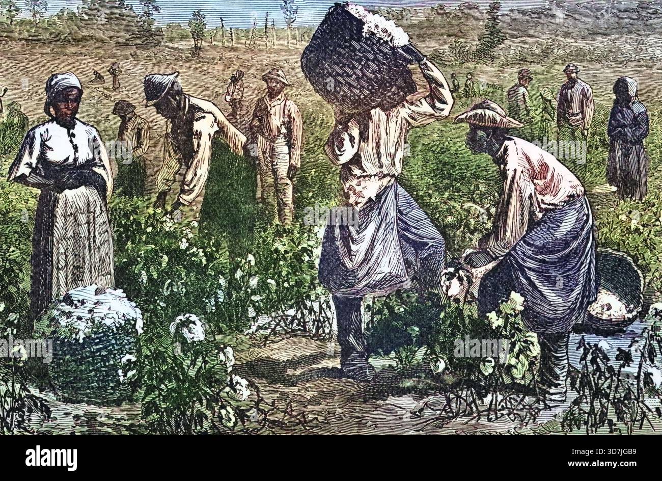 Eine Baumwollplantage, Louisiana, um 1870, Amerika, digitale Reproduktion einer historischen Vorlage Stockfoto