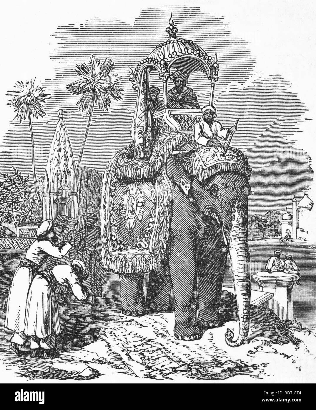 Elefant mit Howda, um 1870, Indien, digitale Reproduktion einer historischen Vorlage Stockfoto