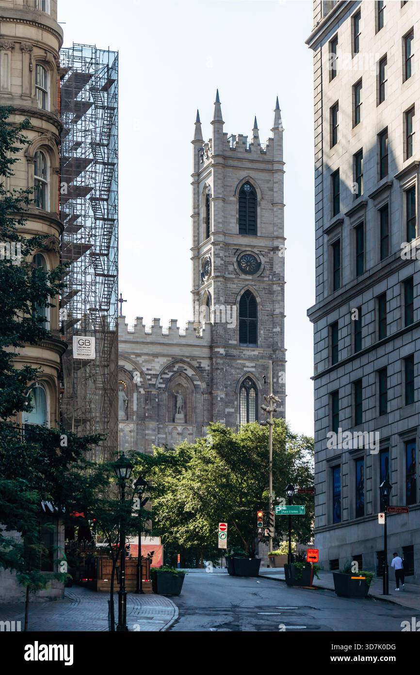 Montreal, Kanada - 12. August 2025: Basilika Notre-Dame in der Altstadt von Montreal, Blick auf das Stadtzentrum Stockfoto