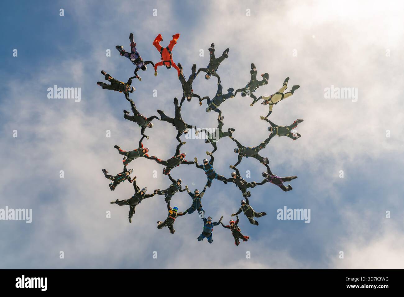 Eine große Gruppe von Fallschirmspringern baut im Freifall eine komplexe kreisförmige Formation, die präzise Teamarbeit, Kontrolle und Luftkoordination demonstriert. Stockfoto