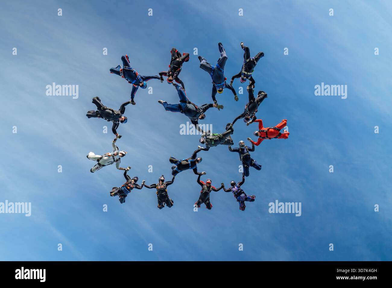 Ein Team von Fallschirmspringern bildet eine perfekte kreisförmige Formation im freien Fall vor einem hellblauen Himmel und zeigt Präzisionsfliegen einer Gruppenkoordination Stockfoto