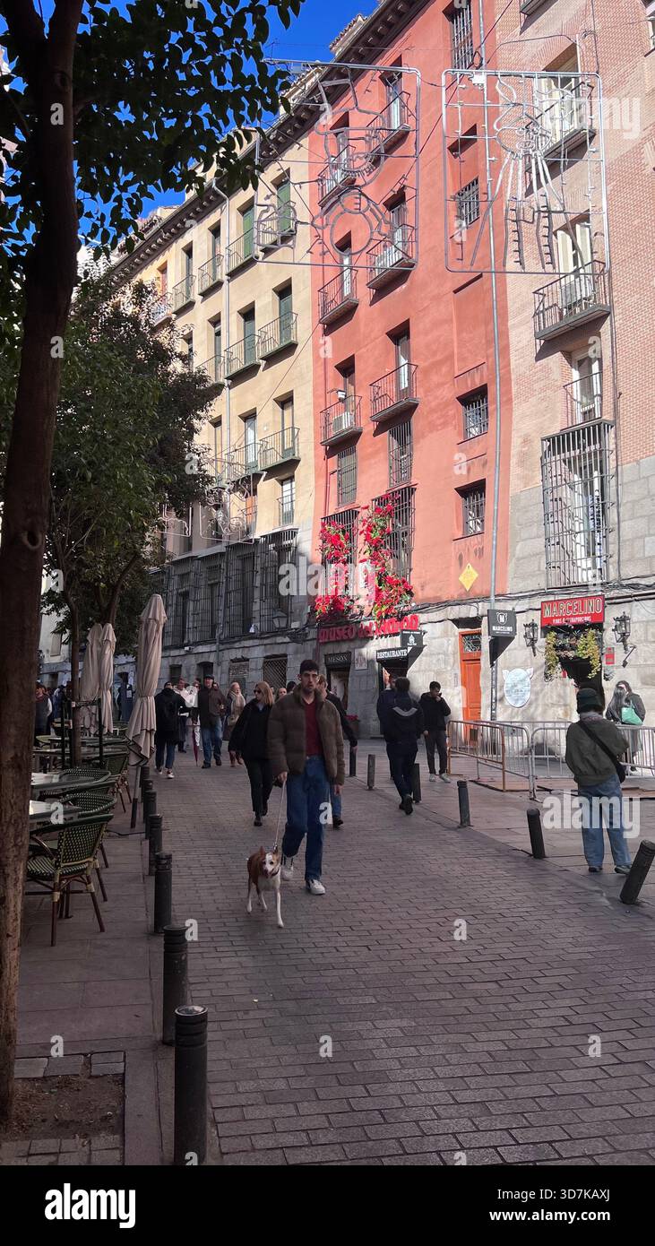 Sonnige Fußgängerzone im historischen Madrid mit farbenfrohen Fassaden, Café-Terrassen und Einheimischen, die spazieren gehen, einschließlich eines Mannes, der mit seinem Hund geht. Stockfoto