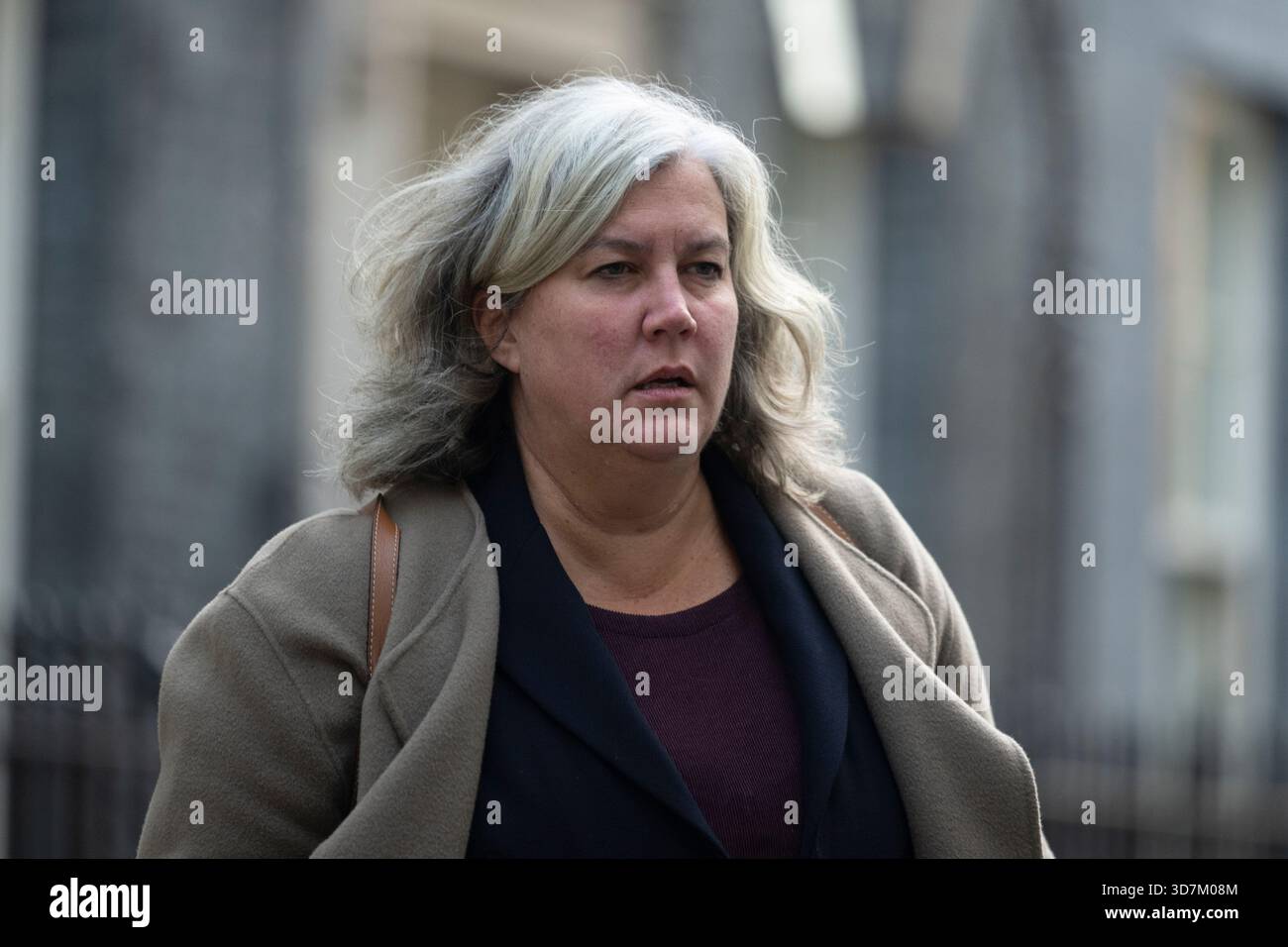 Downing Street, London, Großbritannien. November 2025. Die Minister der Regierung nehmen an der Kabinettssitzung vor dem Haushaltsplan teil. Bild: Rt Hon Heidi Alexander Abgeordneter, Staatssekretär für Verkehr. Quelle: Malcolm Park/Alamy Live News Stockfoto
