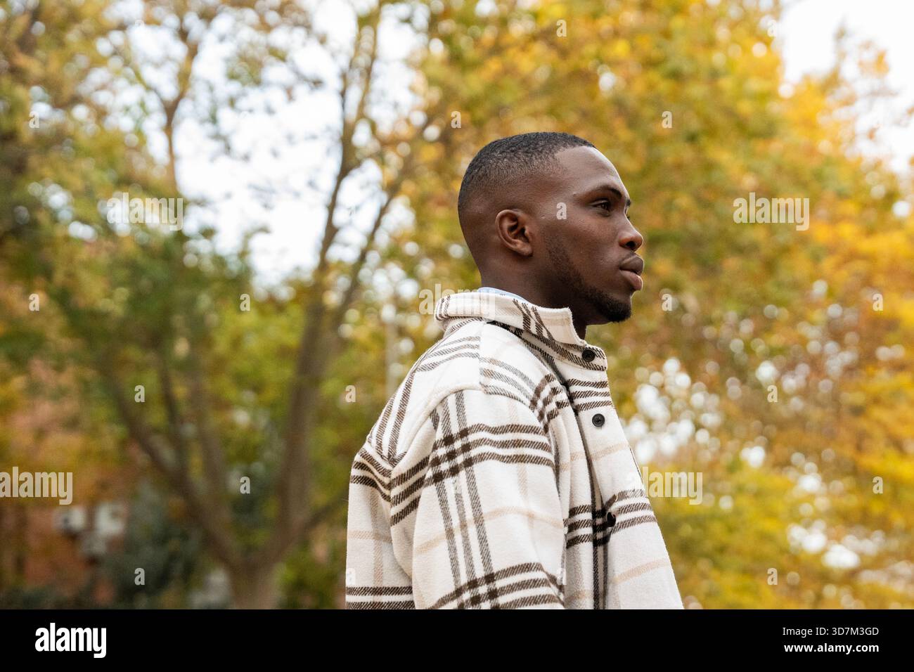 Ein Mann steht still in einem Park, trägt einen stilvollen karierten Mantel, während die Blätter des Herbstes in Gold- und Orangentönen um ihn herum leuchten. Sonnenlicht filtert durch Stockfoto