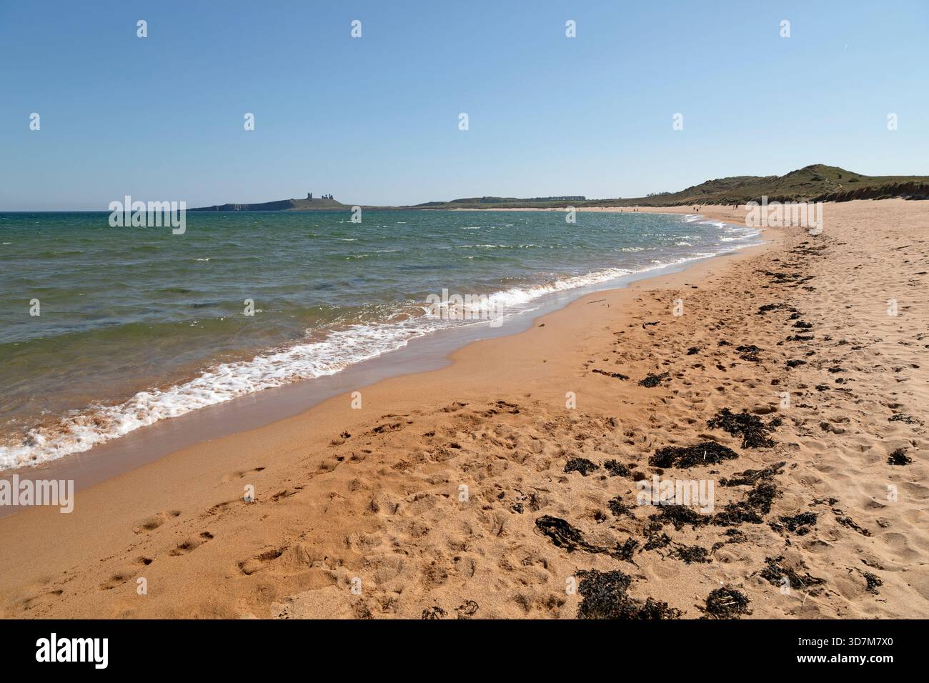 Embleton Beach in Northumberland, England. Die Ruinen von Dunstanburgh Castle sind vom Strand aus zu sehen. Stockfoto