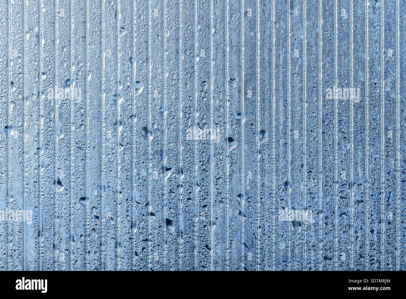 Die Gewächshauswand aus transparentem Polycarbonat ist mit Wassertröpfchen bedeckt. Abstrakte Hintergrundfotostruktur Stockfoto