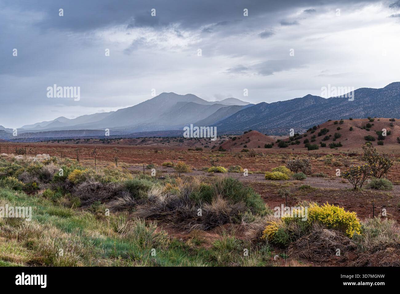 New Mexico Bergkette mit Regensturm Stockfoto