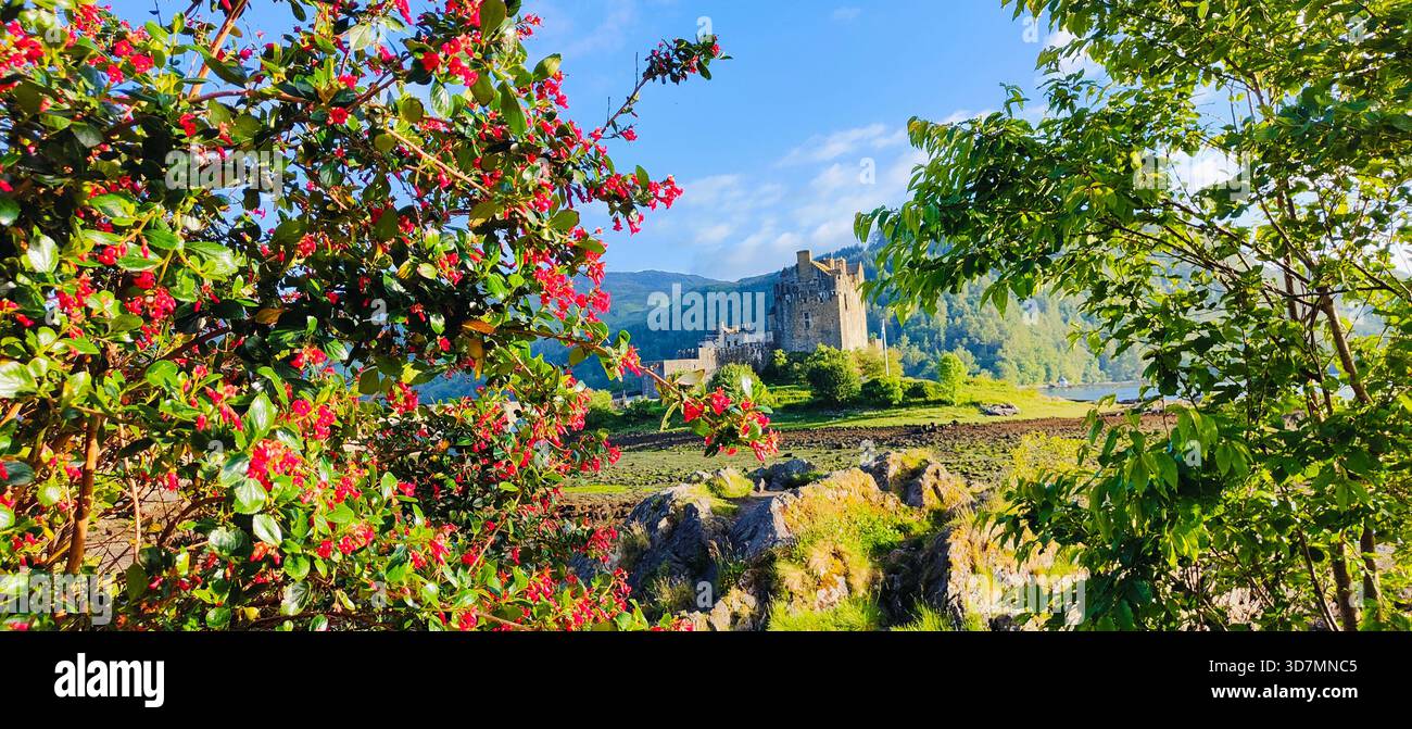 Eilean Donan Castle, das im warmen Sommerlicht leuchtet, umgeben von ruhigen blauen Lochs und Highland-Landschaft, die die zeitlose Schönheit des Schlosses unterstreicht Stockfoto