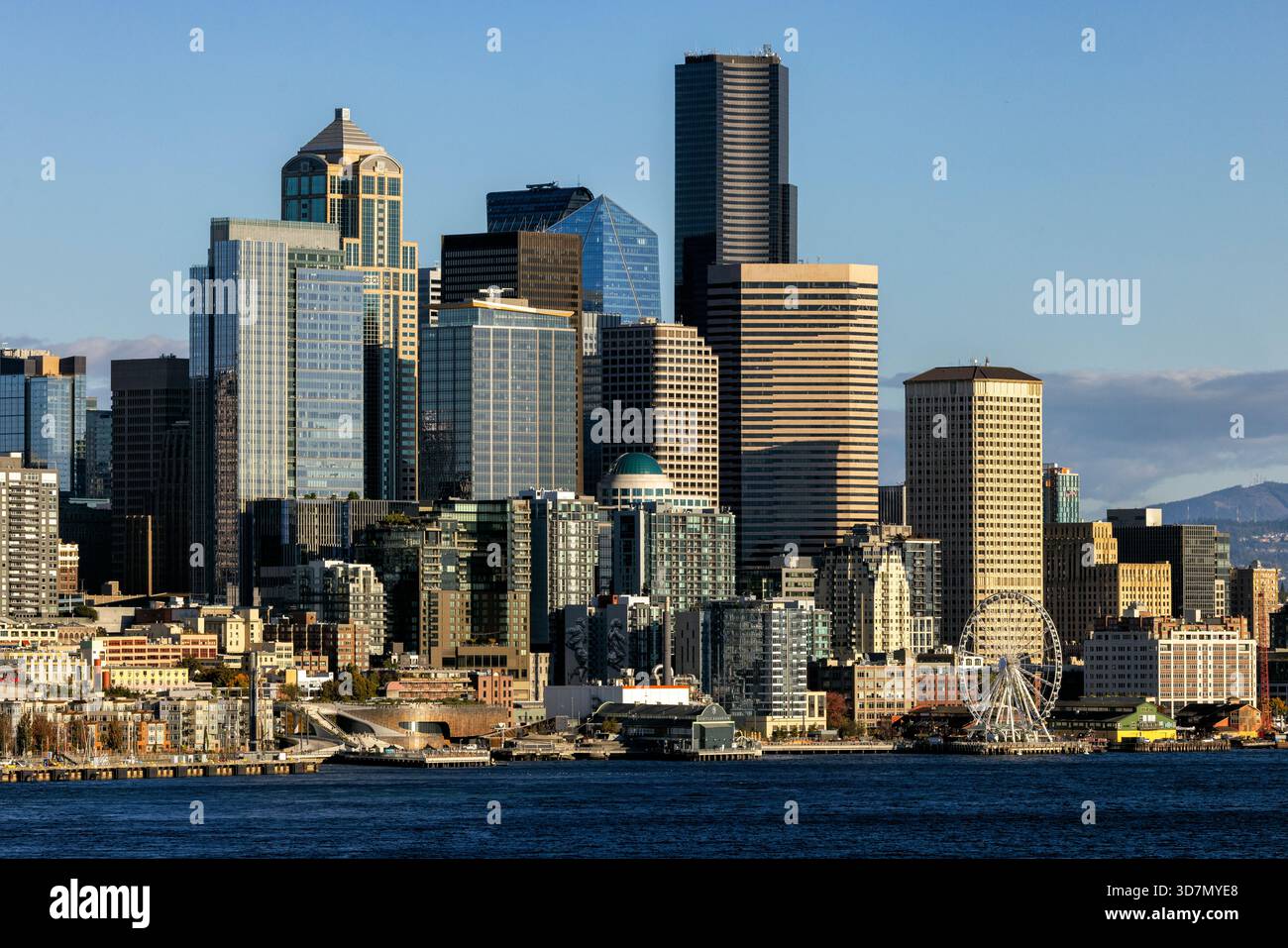 Die Skyline von Downtown Seattle vom Ufer aus gesehen - Seattle, Washington, USA Stockfoto