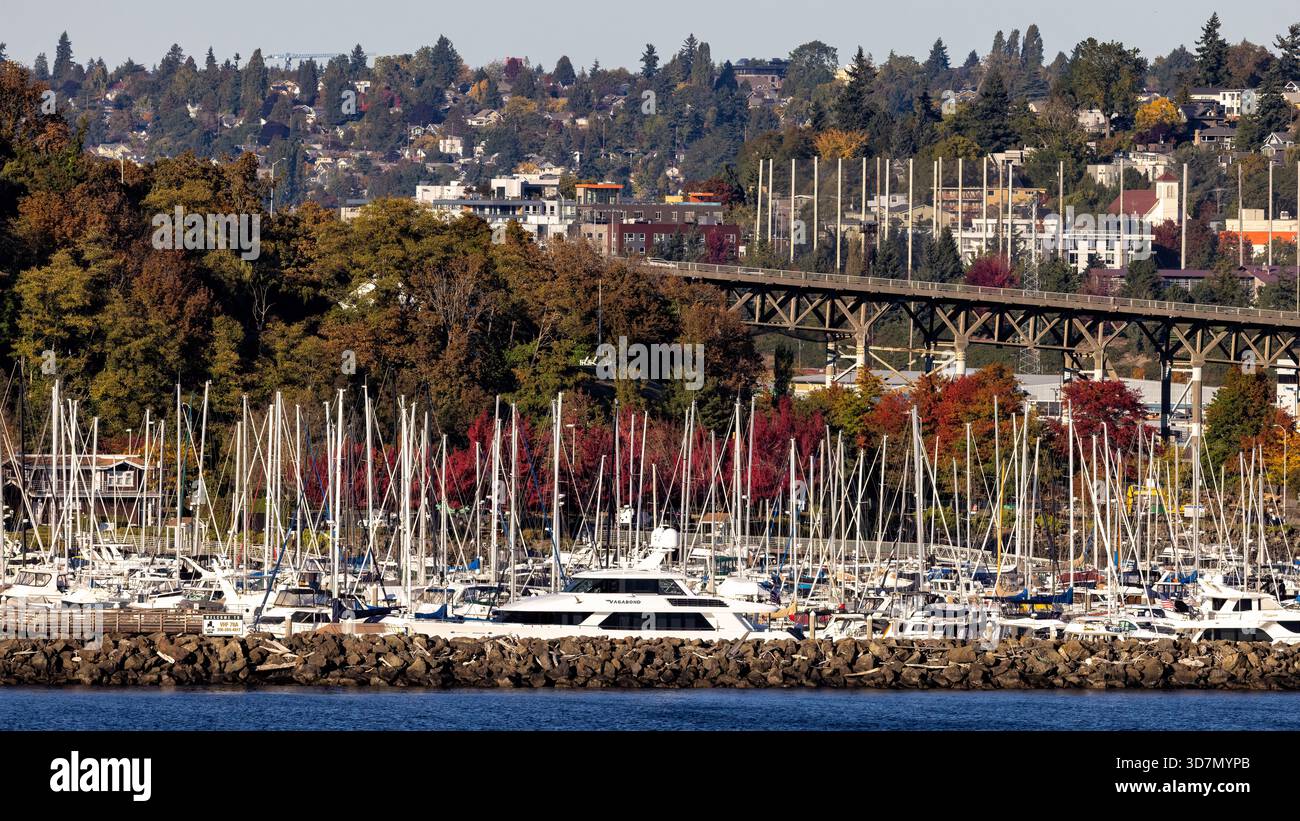 Elliott Bay Marina im Herbst - Seattle, Washington, USA Stockfoto