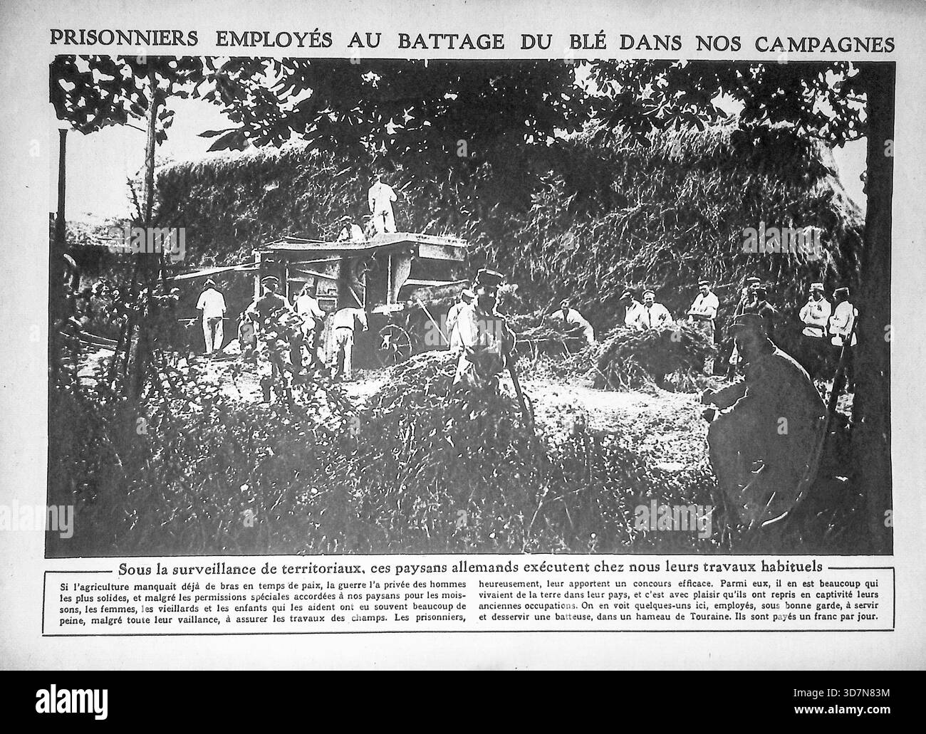 Diese Fotografie aus der Ausgabe von Le Miroir vom 10. Oktober 1915 zeigt deutsche Kriegsgefangene, die auf einem Bauernhof auf dem französischen Land arbeiten und während des Ersten Weltkrieges Weizendreschen („Battage du blé“) betrieben haben. Die deutschen Kriegsgefangenen, die von französischen Territorialstreitkräften überwacht werden, leisten landwirtschaftliche Arbeit, um den immensen Mangel an Arbeitskräften zu füllen, der durch den Krieg verursacht wurde. Das Bild diente als französische Propaganda und demonstrierte den effektiven Einsatz feindlicher Arbeitskräfte, um die landwirtschaftliche Produktion aufrechtzuerhalten und die Unterwerfung der Gefangenen unter französischer Flagge zu unterstreichen. Stockfoto