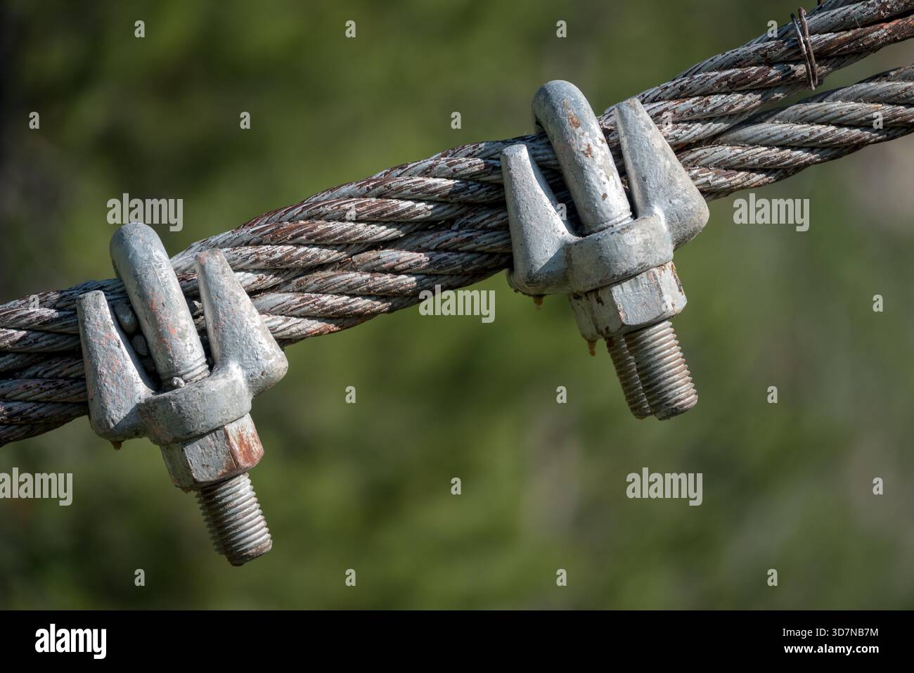 Kabel und U-Bolzen in den Halterungen einer Hängebrücke, Bob Marshall Wilderness, Montana, USA. Stockfoto