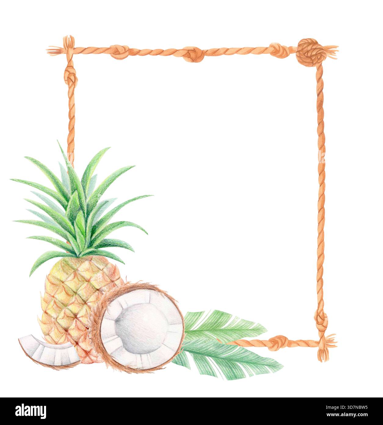 Tropische Wasserfarben-Seilrahmen mit Ananas-, Kokos- und Bananenblättern isoliert auf weiß. Botanische Grenze exotischer Früchte. Stockfoto