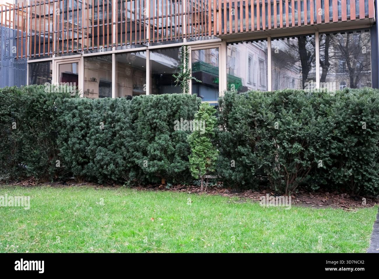 Üppig grüne Sträucher umgeben ein modernes Gebäude in einer pulsierenden Stadtparkszene. Stockfoto