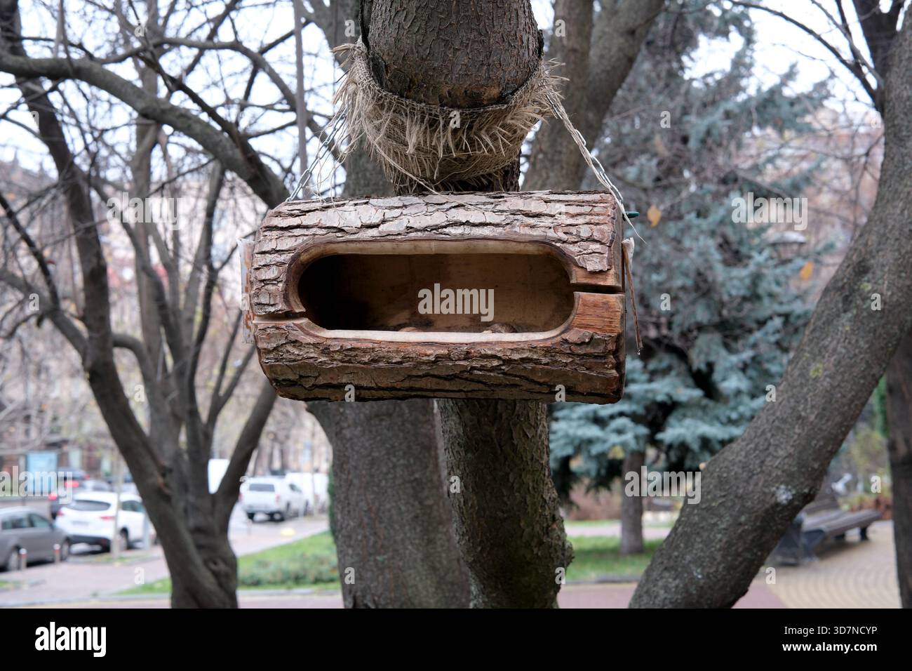Ein rustikales Vogelhaus aus Holz hängt an einem Baum in einem ruhigen Park und lädt Vögel ein. Stockfoto