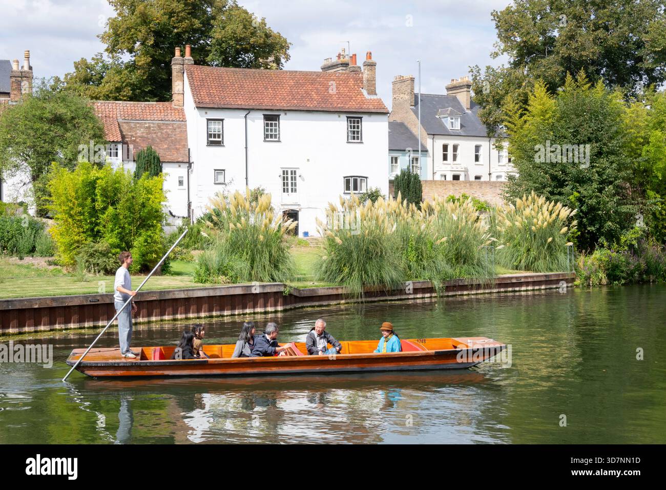 Punting auf dem Fluss Cam, Cambridge, Cambridgeshire, England Stockfoto