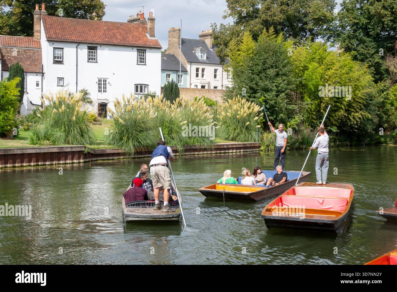 Punting auf dem Fluss Cam, Cambridge, Cambridgeshire, England Stockfoto
