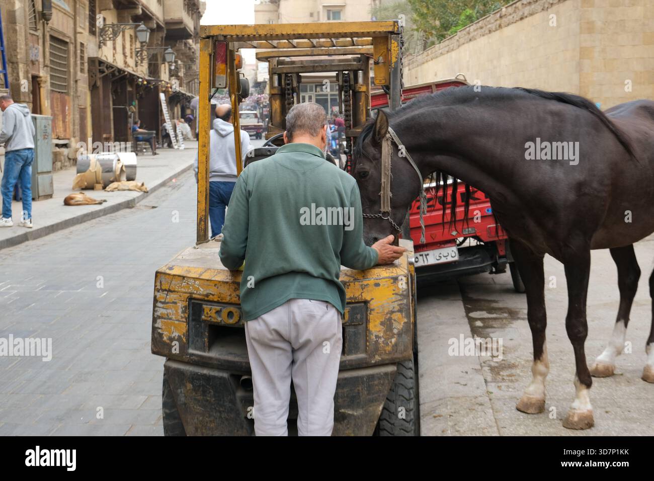 Der Mann füttert sein Pferd mit einem Bauwagen in einer traditionellen ägyptischen Straße im historischen alten Kairo Stockfoto