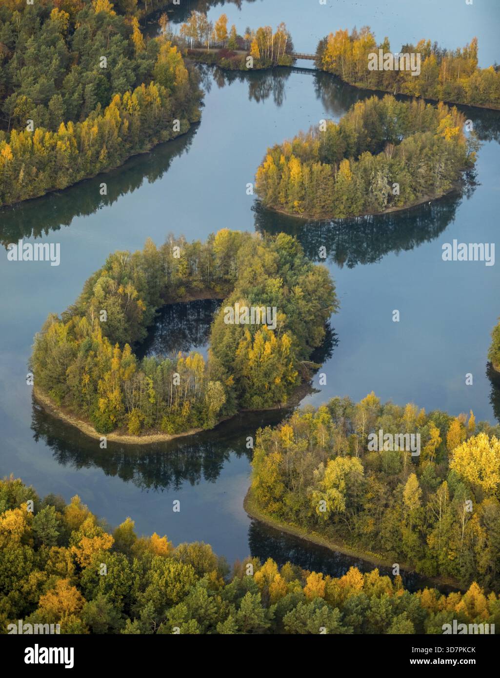 Aus der Vogelperspektive, Heidesee Kirchhellen Grafenwald, Inseln mit Herbstwald, farbenfrohe Herbstblätter, Bergbecken, Kohlebergbau bei der Zeche Prosper Stockfoto