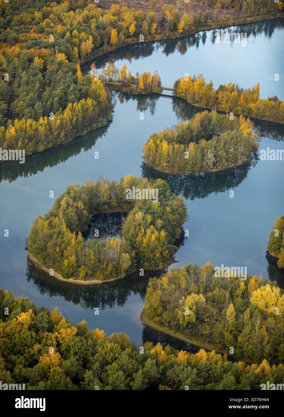 Aus der Vogelperspektive, Heidesee Kirchhellen Grafenwald, Inseln mit Herbstwald, farbenfrohe Herbstblätter, Bergbecken, Kohlebergbau bei der Zeche Prosper Stockfoto