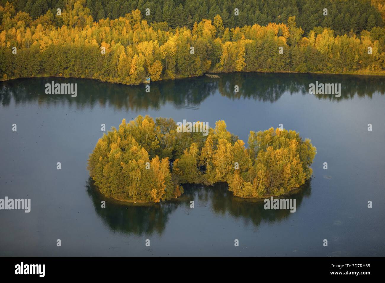 Aus der Vogelperspektive, Heidesee Kirchhellen Grafenwald, Inseln mit Herbstwald, farbenfrohe Herbstblätter, Bergbecken, Kohlebergbau bei der Zeche Prosper Stockfoto