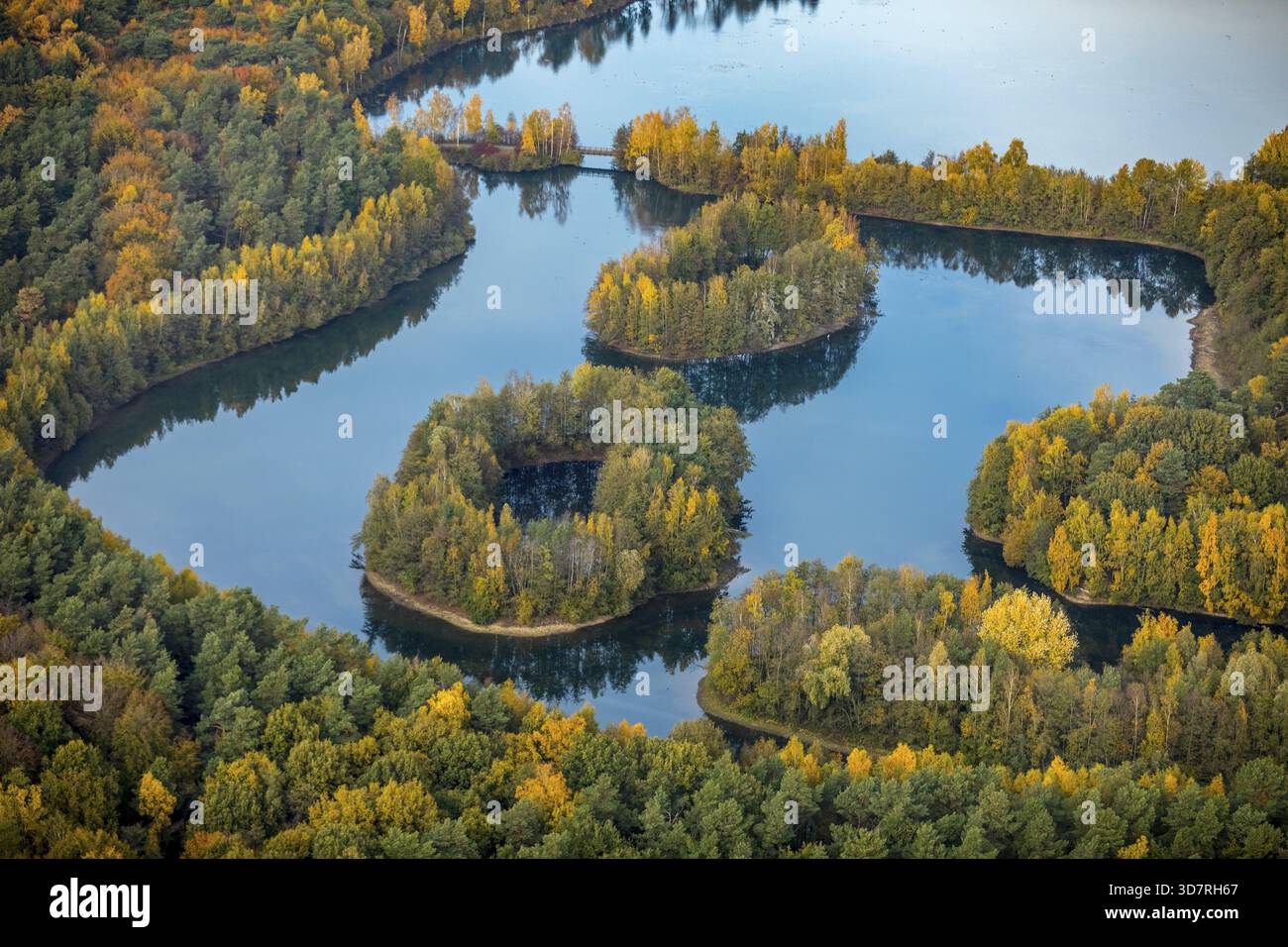 Aus der Vogelperspektive, Heidesee Kirchhellen Grafenwald, Inseln mit Herbstwald, farbenfrohe Herbstblätter, Bergbecken, Kohlebergbau bei der Zeche Prosper Stockfoto