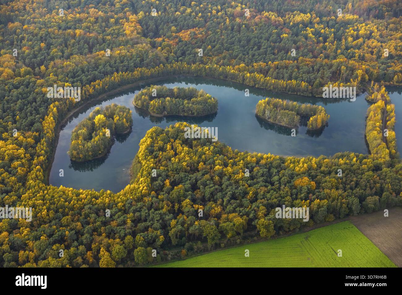 Aus der Vogelperspektive, Heidesee Kirchhellen Grafenwald, Inseln mit Herbstwald, farbenfrohe Herbstblätter, Bergbecken, Kohlebergbau bei der Zeche Prosper Stockfoto