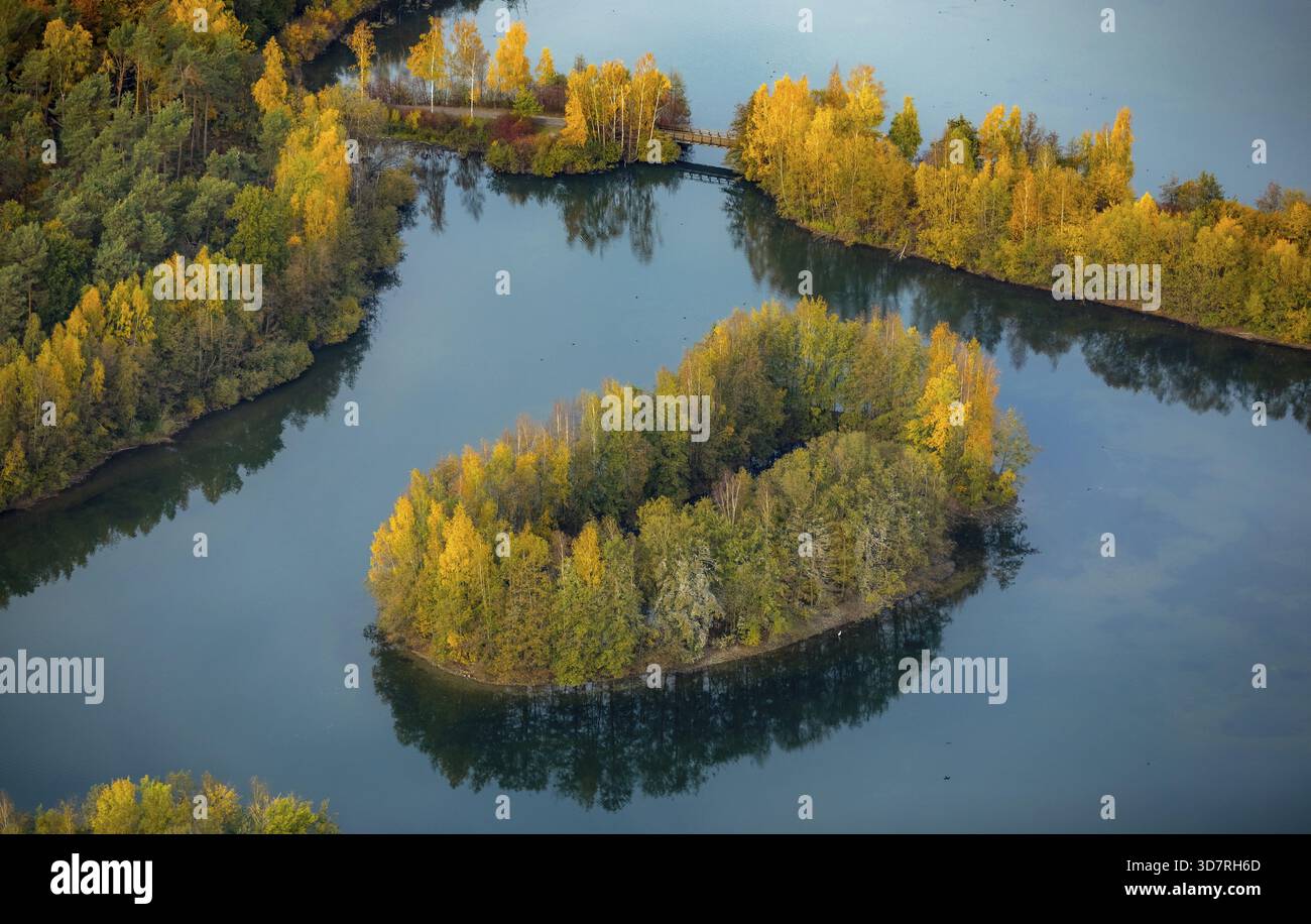 Aus der Vogelperspektive, Heidesee Kirchhellen Grafenwald, Inseln mit Herbstwald, farbenfrohe Herbstblätter, Bergbecken, Kohlebergbau bei der Zeche Prosper Stockfoto
