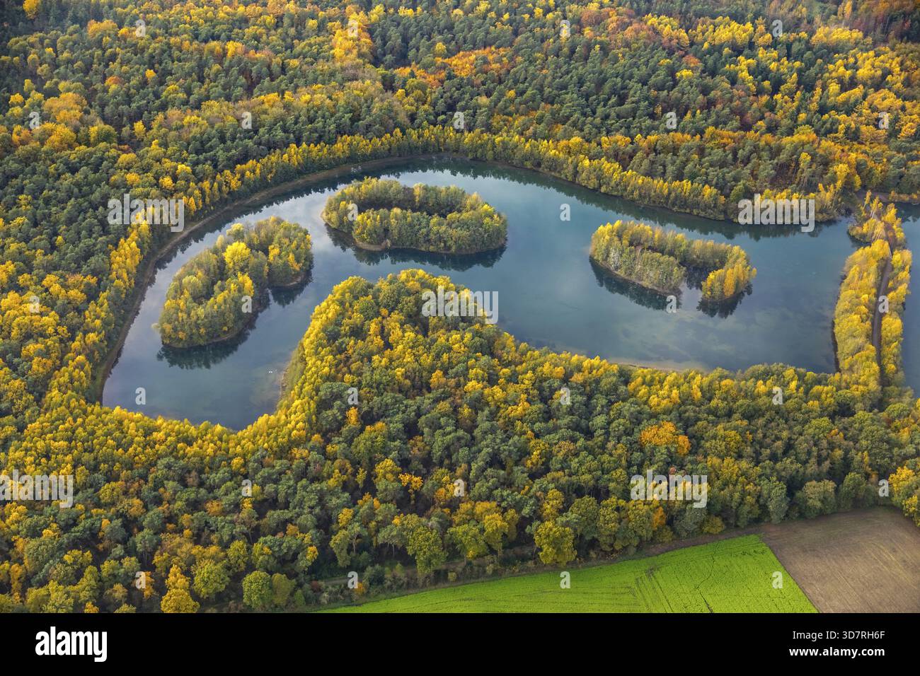 Aus der Vogelperspektive, Heidesee Kirchhellen Grafenwald, Inseln mit Herbstwald, farbenfrohe Herbstblätter, Bergbecken, Kohlebergbau bei der Zeche Prosper Stockfoto