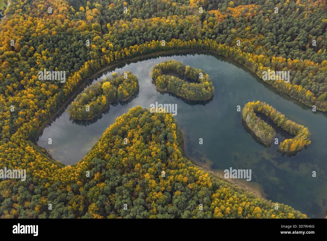 Aus der Vogelperspektive, Heidesee Kirchhellen Grafenwald, Inseln mit Herbstwald, farbenfrohe Herbstblätter, Bergbecken, Kohlebergbau bei der Zeche Prosper Stockfoto