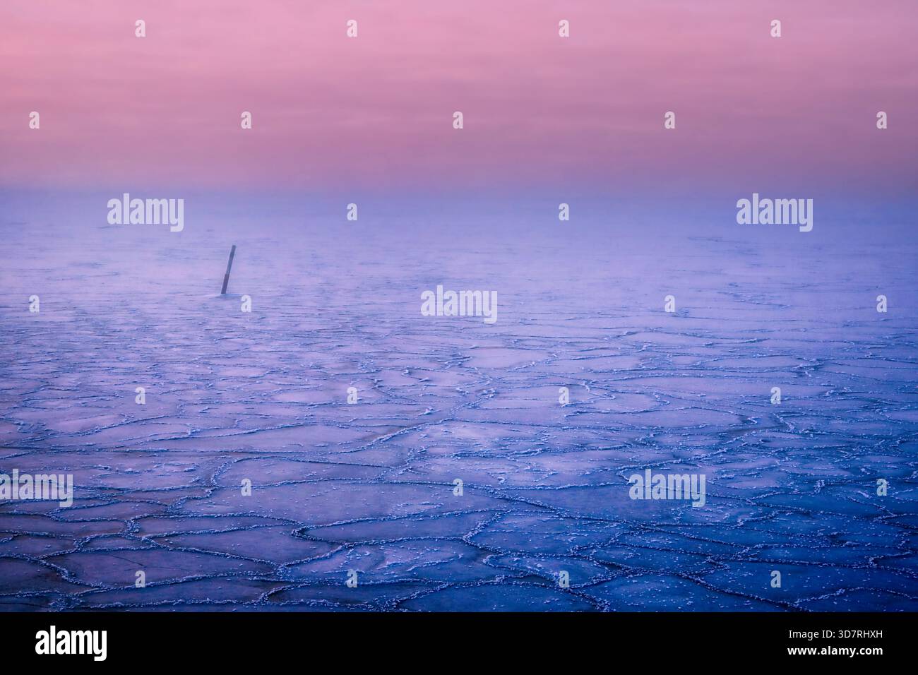Sanfter rosafarbener Dunst über gefrorenem Meer in der blauen Morgenstunde im Winter. Helsinki, Finnland. Stockfoto