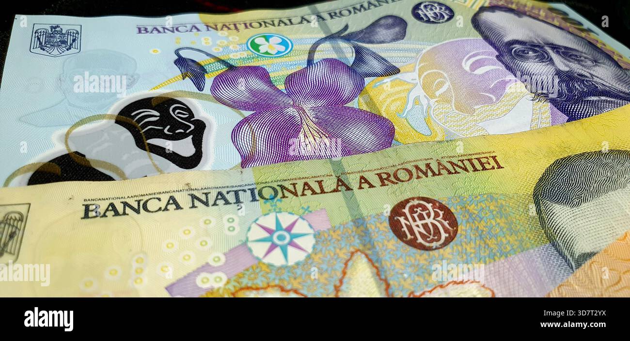 Rumänische RON LEI Polymer-Banknoten, rumänisches Geld, Nahaufnahme, selektiver Fokus Stockfoto