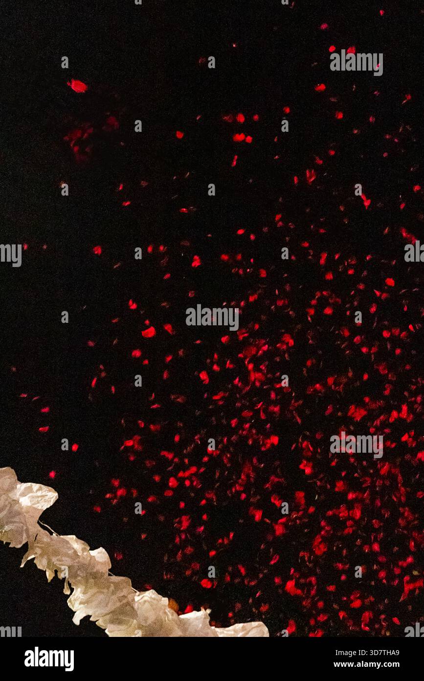 Rote Blütenblätter fallen vom Himmel Stockfoto