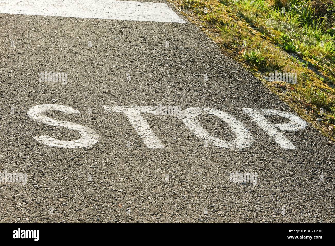 Der TEXTSTOPP ist in weißer Farbe auf dem Asphalt in der Nähe der Bordsteinkante geschrieben Stockfoto
