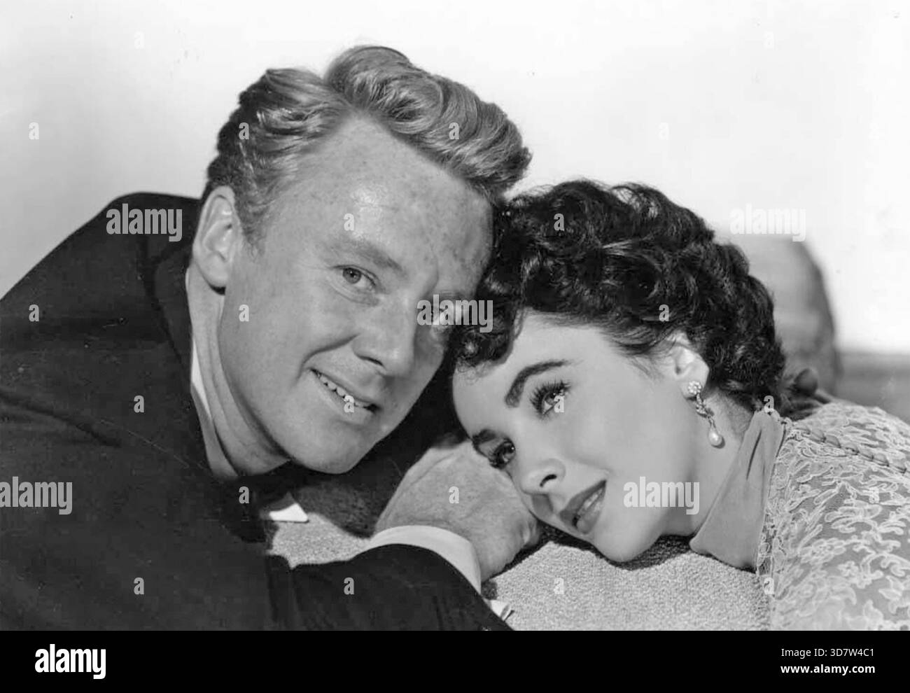 Der große Kater 1950 MGM Film mit Elizabeth Taylor und Van Johnson Stockfoto