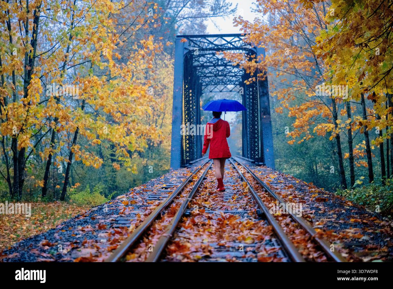 Frau mit blauem Schirm, die im Herbst auf Eisenbahngleisen durch einen Wald läuft. WA, USA Stockfoto