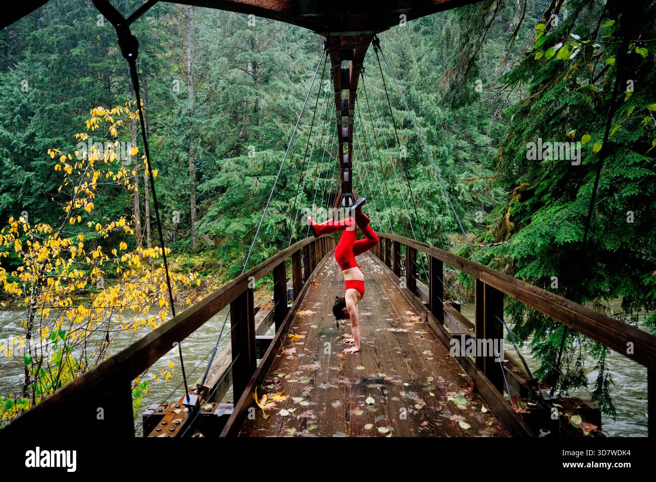 Eine Frau in Rot führt einen Handstand auf einer Holzbrücke in einem üppigen grünen Wald auf. WA, USA Stockfoto