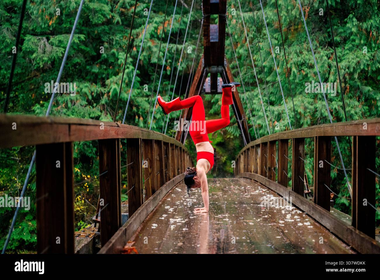 Eine Frau in Rot führt einen Handstand auf einer Holzbrücke in einem üppigen grünen Wald auf. WA, USA Stockfoto