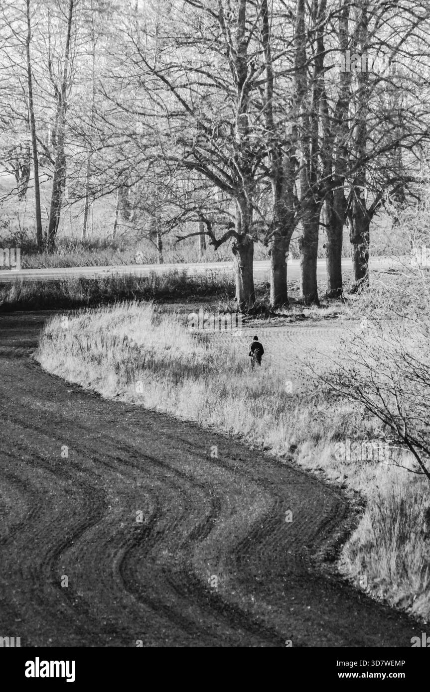 Schwarzweiß-Kunstbild einer Person, die auf einem Feldweg läuft Stockfoto